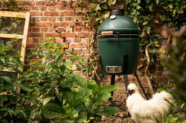 Big Green Egg Small mit Huhn